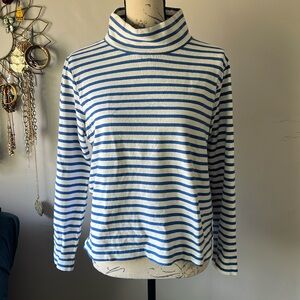 Blue Striped turtleneck sweater
